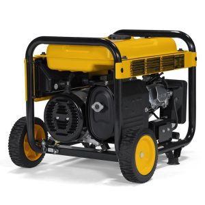 Dewalt 4000 Watt Portable Gas Generator – Dxgnr4000
